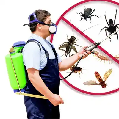 pest control Shokan